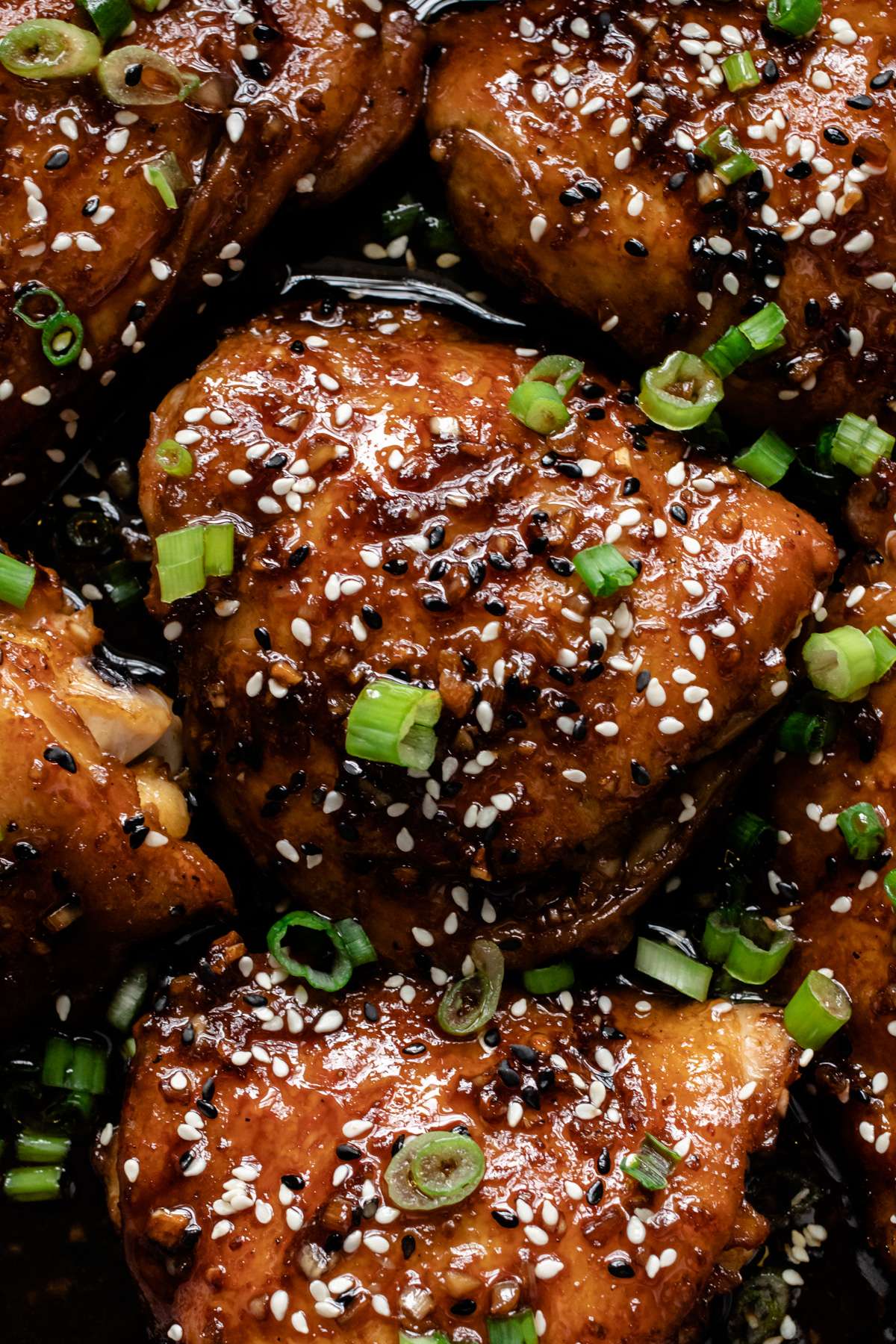 Garlic Ginger Soy Braised Chicken The Maker Makes